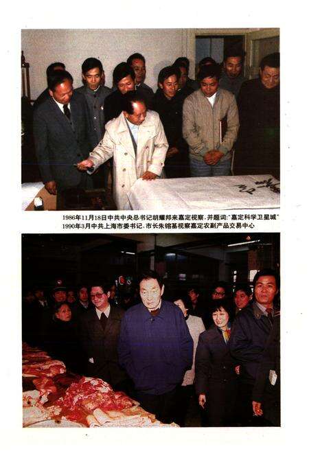 《嘉定镇志》.pdf电子版_上海市志预览图4