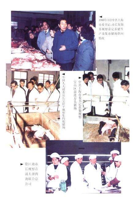 《上海畜牧志》.pdf电子版_上海市志预览图2