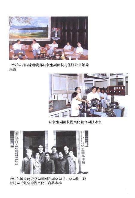 《上海化轻物资流通志》.pdf电子版_上海市志预览图5