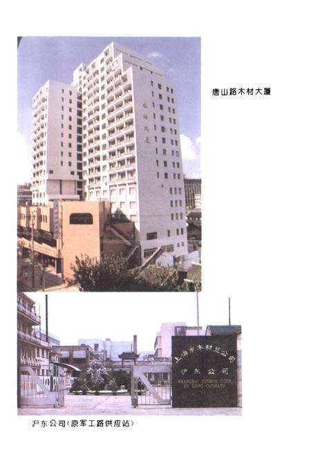 《上海木材流通志》.pdf电子版_上海市志预览图4