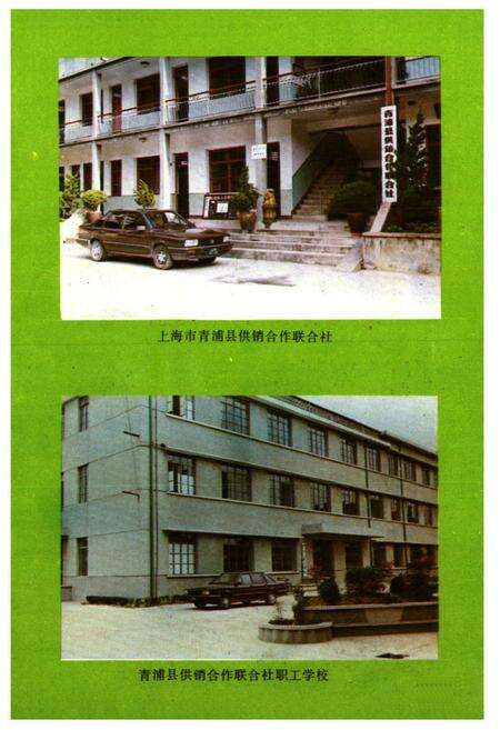 《青浦县供销合作商业志》.pdf电子版_上海市志预览图4