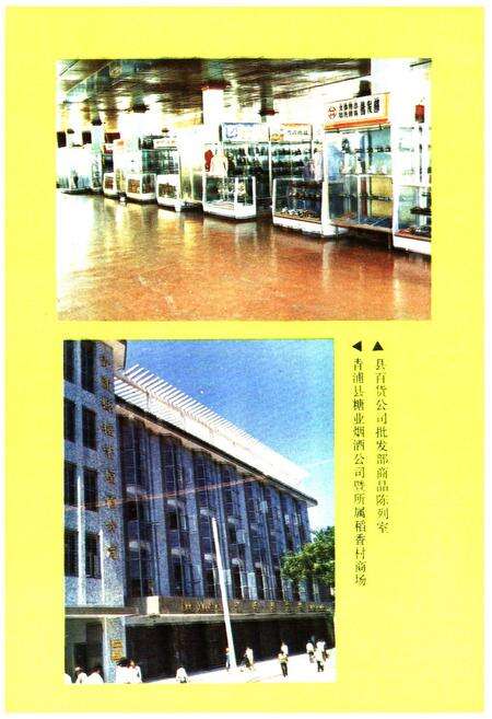 《青浦县供销合作商业志》.pdf电子版_上海市志预览图5