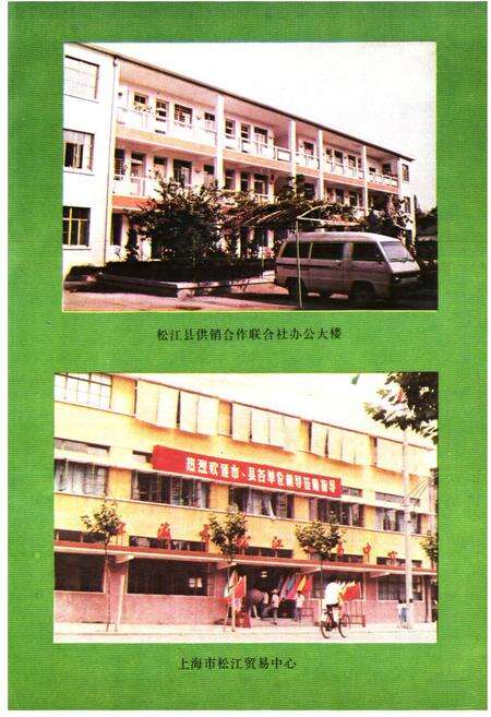 《松江县供销合作商业志》.pdf电子版_上海市志预览图2