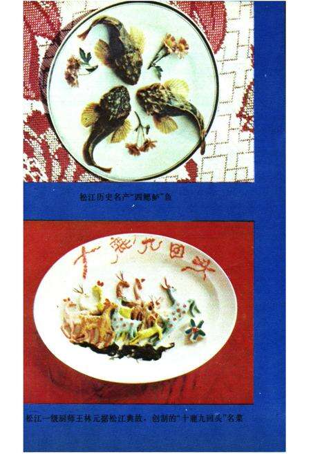 《松江县供销合作商业志》.pdf电子版_上海市志预览图3