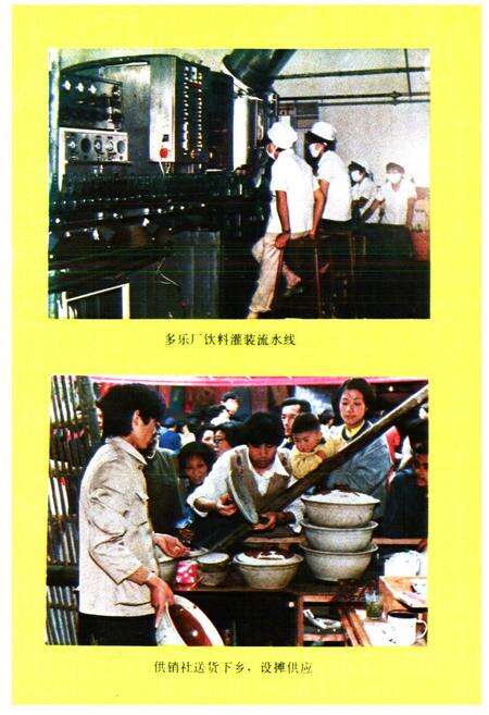 《松江县供销合作商业志》.pdf电子版_上海市志预览图4