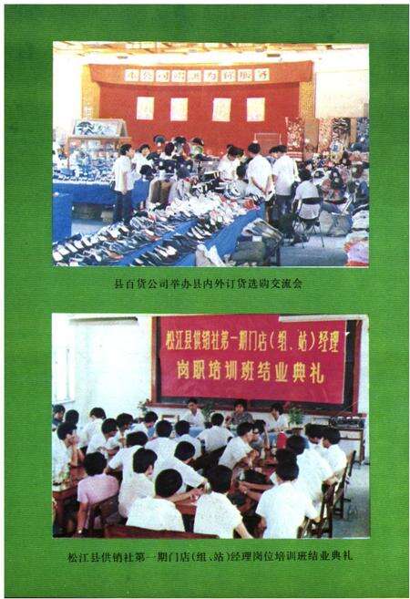 《松江县供销合作商业志》.pdf电子版_上海市志预览图5