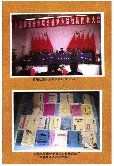 《金山县供销合作商业志》.pdf电子版_上海市志预览图2