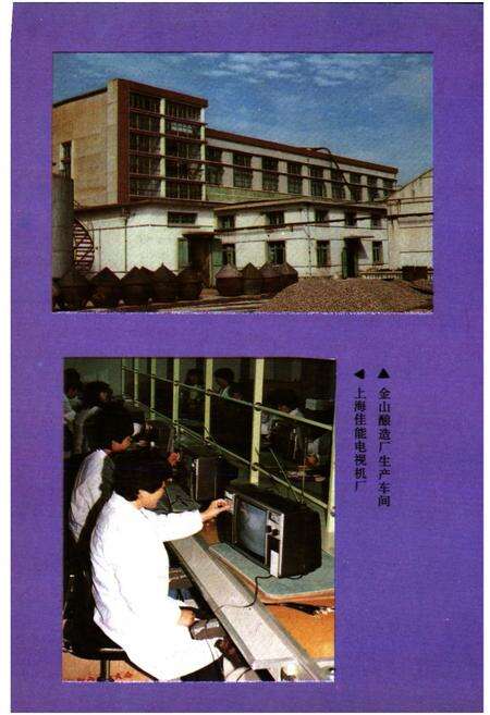 《金山县供销合作商业志》.pdf电子版_上海市志预览图3