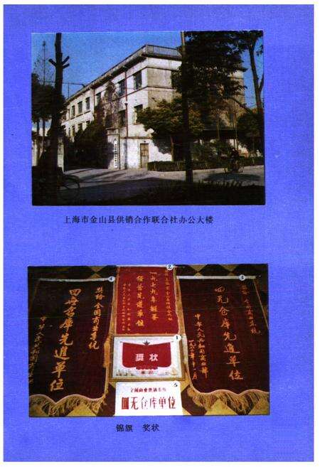 《金山县供销合作商业志》.pdf电子版_上海市志预览图4