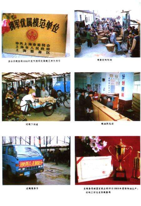 《金山县粮食志》.pdf电子版_上海市志预览图5