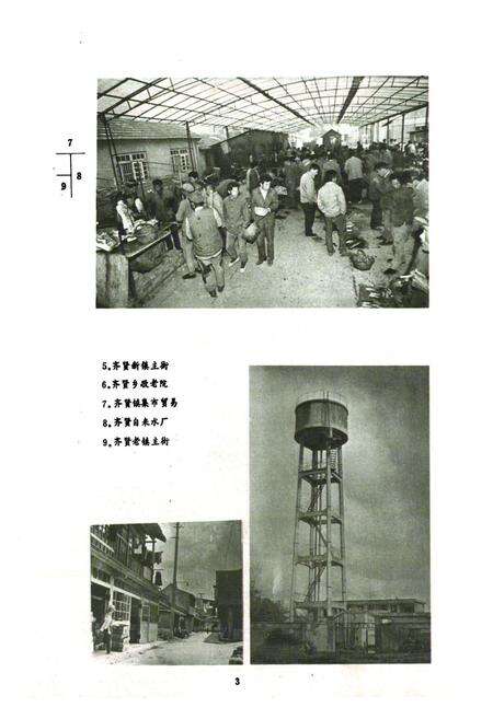 《齐贤志》.pdf电子版_上海市志预览图5