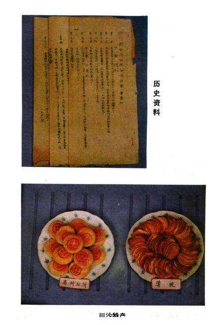 《川沙县供销合作商业志》.pdf电子版_上海市志预览图3