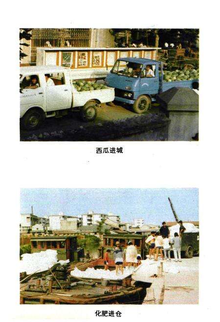 《川沙县供销合作商业志》.pdf电子版_上海市志预览图4