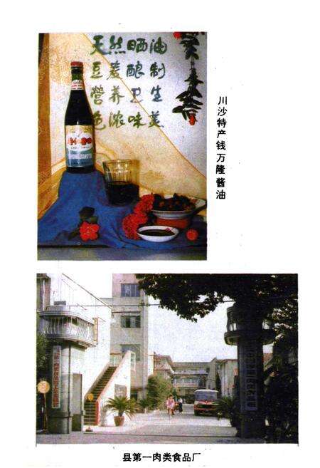 《川沙县供销合作商业志》.pdf电子版_上海市志预览图5