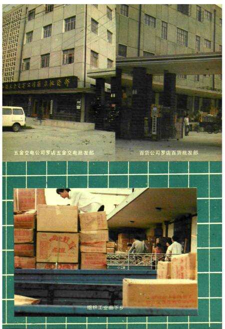 《宝山县供销合作商业志》.pdf电子版_上海市志预览图5