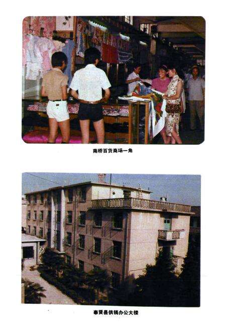 《奉贤县供销合作商业志》.pdf电子版_上海市志预览图4