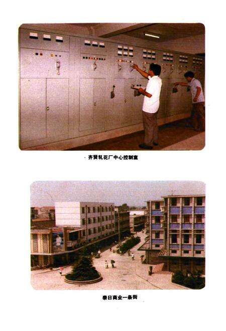 《奉贤县供销合作商业志》.pdf电子版_上海市志预览图5