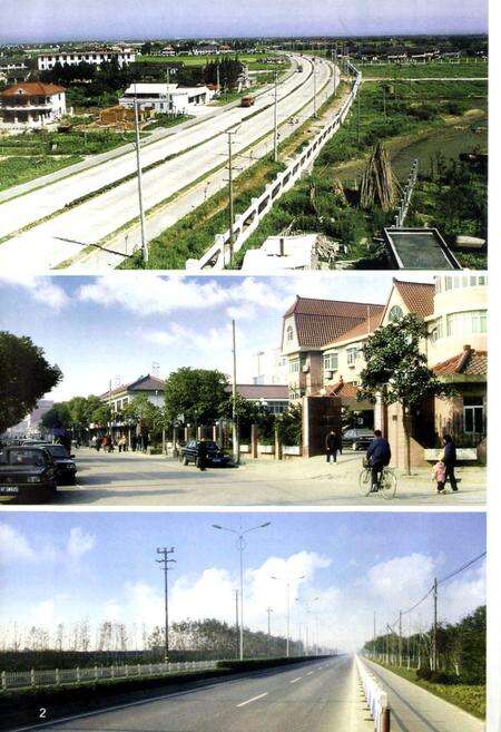 《罗南镇志》.pdf电子版_上海市志预览图3