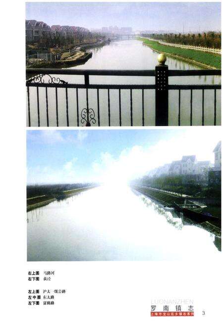 《罗南镇志》.pdf电子版_上海市志预览图4