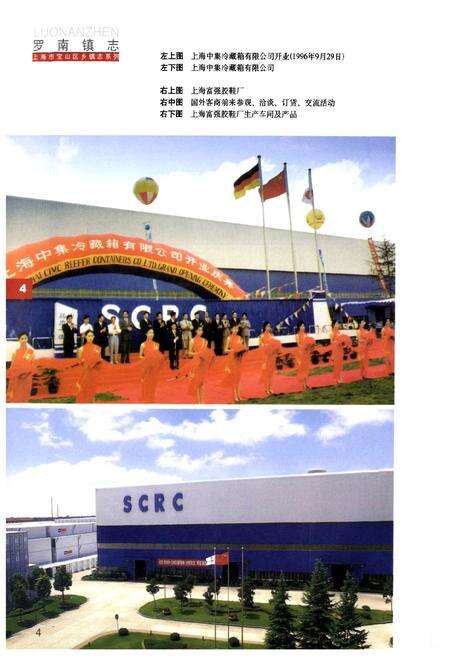 《罗南镇志》.pdf电子版_上海市志预览图5