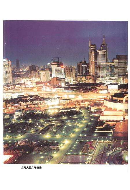 《上海市电力工业志(1991~2002)》.pdf电子版_上海市志预览图2