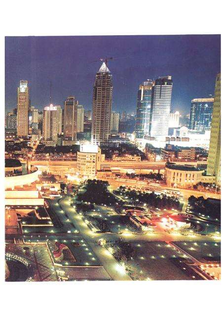 《上海市电力工业志(1991~2002)》.pdf电子版_上海市志预览图3