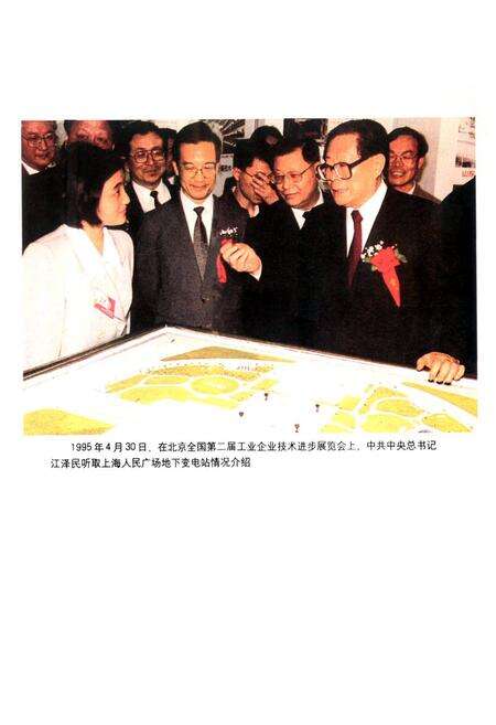 《上海市电力工业志(1991~2002)》.pdf电子版_上海市志预览图5