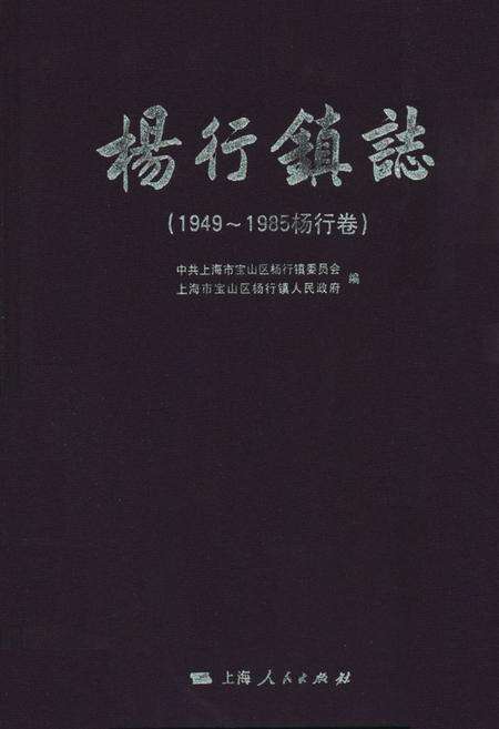 《杨行镇志(1949~1985杨行卷)》.pdf电子版_上海市志缩略图