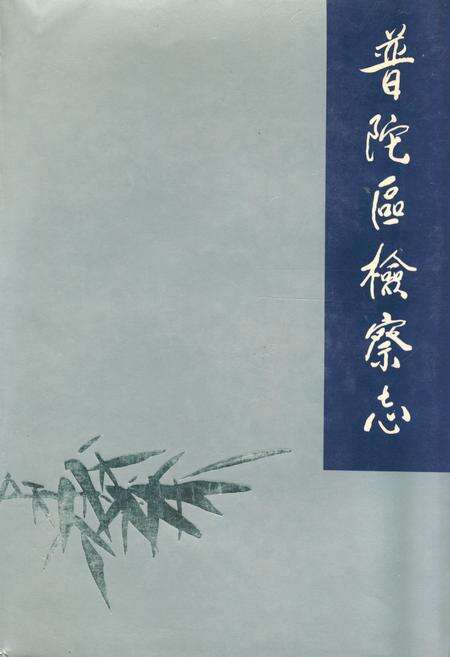 《普陀区检察志》.pdf电子版_上海市志缩略图