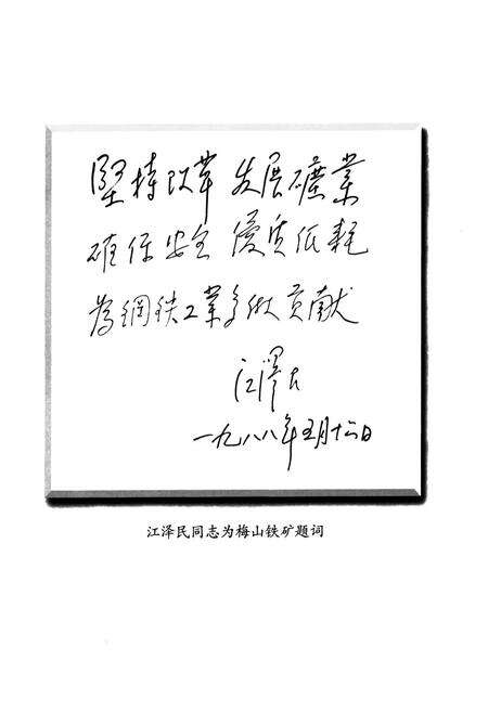 《上海梅山矿业有限公司志(1991-2001)》.pdf电子版_上海市志预览图3