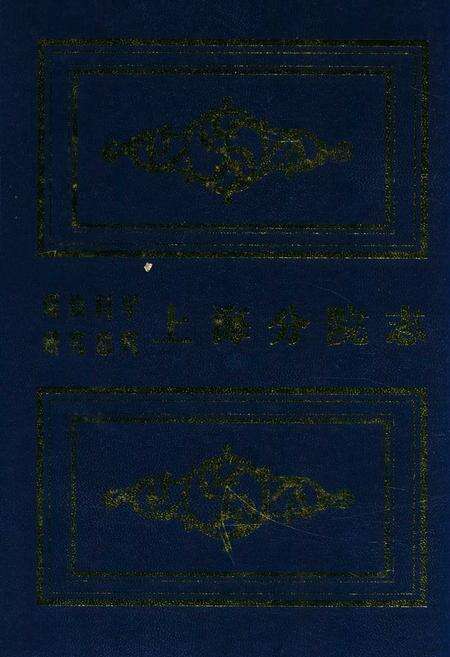 《煤炭科学研究总院上海分院志》.pdf电子版_上海市志缩略图