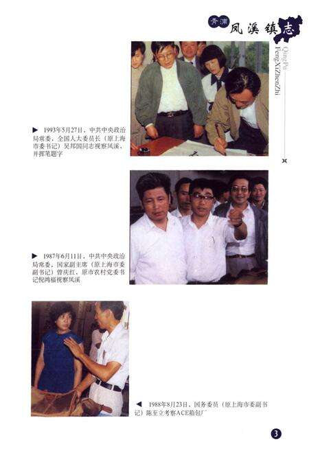 《凤溪镇志》.pdf电子版_上海市志预览图4