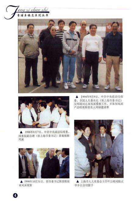 《凤溪镇志》.pdf电子版_上海市志预览图5