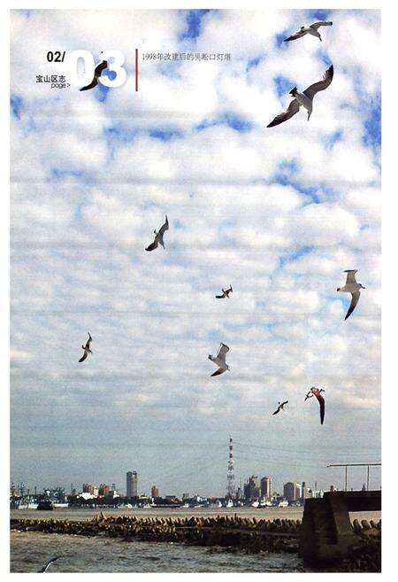 《上海市宝山区志(1988~2005)》.pdf电子版_上海市志预览图3