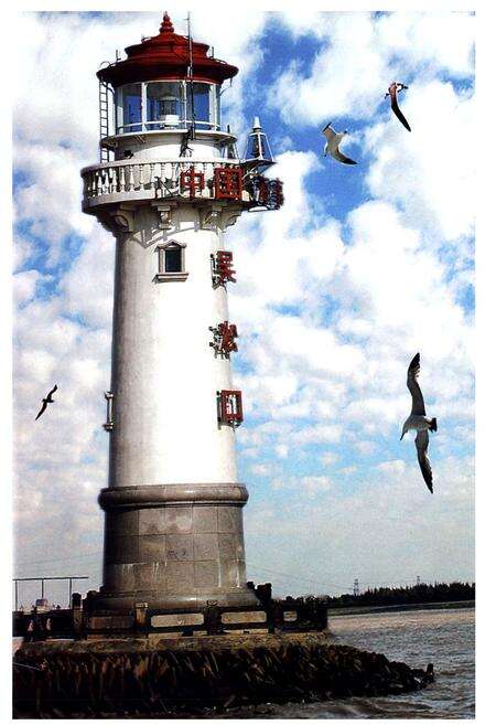 《上海市宝山区志(1988~2005)》.pdf电子版_上海市志预览图4