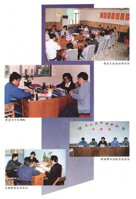 《《金山县劳动志》》.pdf电子版_上海市志预览图5