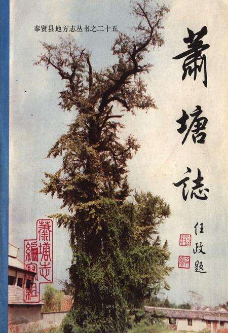 《《萧塘志》》.pdf电子版_上海市志缩略图