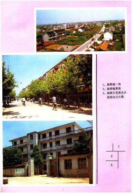 《胡桥志》.pdf电子版_上海市志预览图2