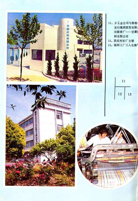 《胡桥志》.pdf电子版_上海市志预览图5