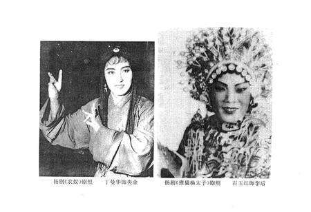 《上海扬剧志·上海甬剧志·上海锡剧志》.pdf电子版_上海市志预览图5