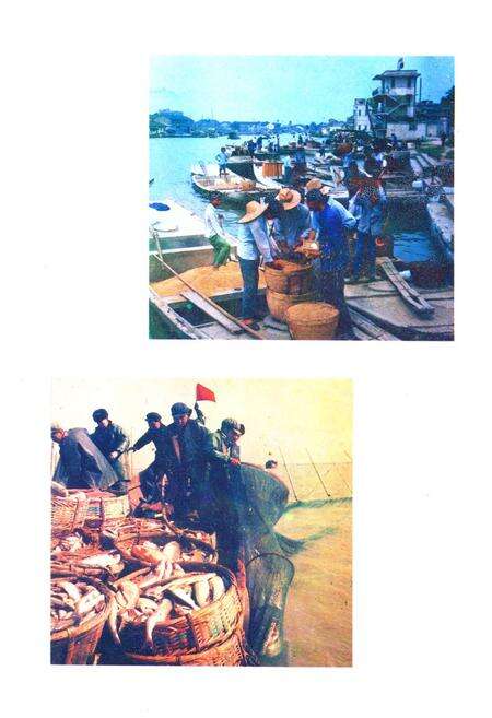 《《青浦县水利志》》.pdf电子版_上海市志预览图4