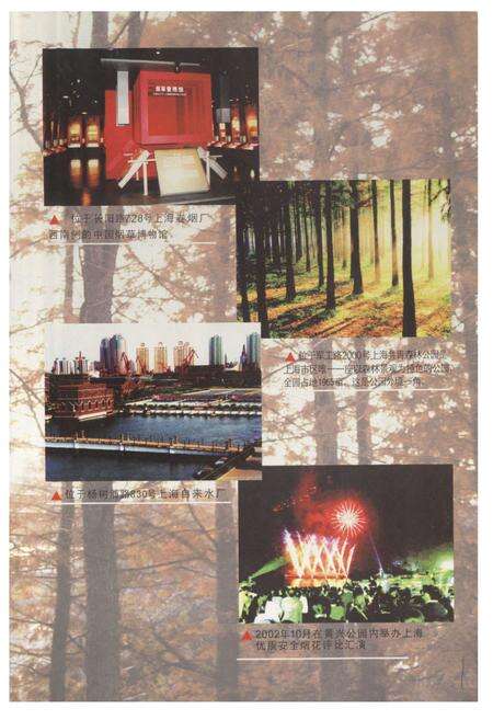 《《杨浦区商业续志(1991-2003)》》.pdf电子版_上海市志预览图1