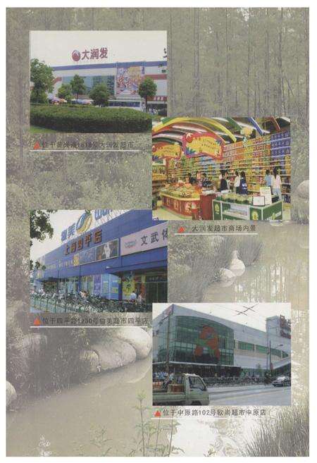 《《杨浦区商业续志(1991-2003)》》.pdf电子版_上海市志预览图3