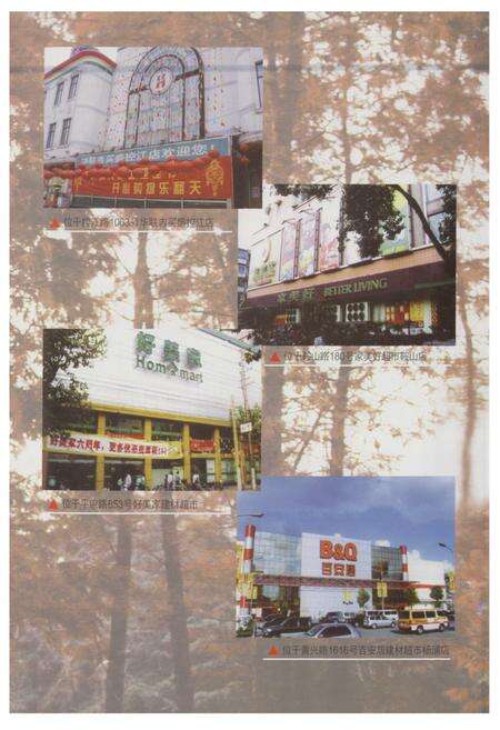 《《杨浦区商业续志(1991-2003)》》.pdf电子版_上海市志预览图4