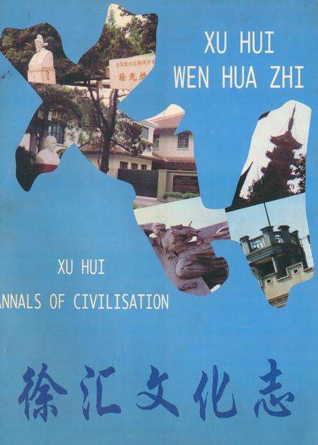 《《徐汇文化志》》.pdf电子版_上海市志缩略图