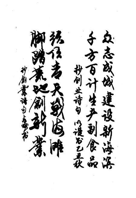 《《滨海始志》(1978.5.24-1983.12.30)》.pdf电子版_上海市志预览图4