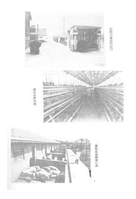 《《塘湾志》》.pdf电子版_上海市志预览图5