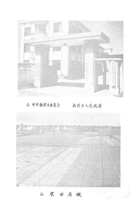 《《新农志》》.pdf电子版_上海市志预览图5
