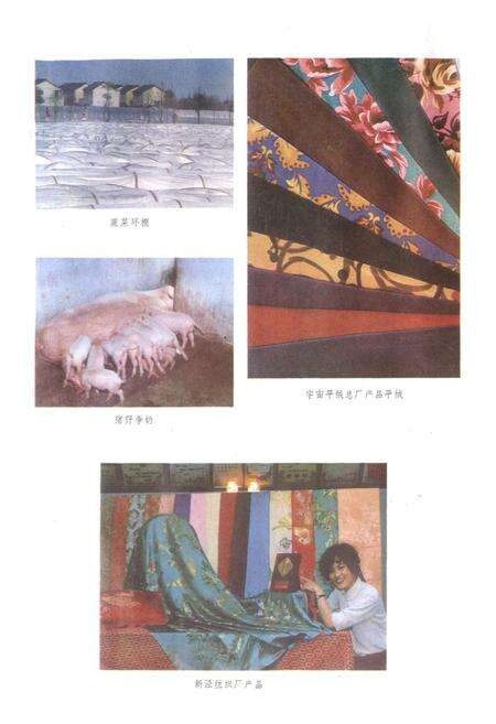 《新泾乡志》.pdf电子版_上海市志预览图5