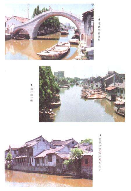 《泗泾镇志》.pdf电子版_上海市志预览图4